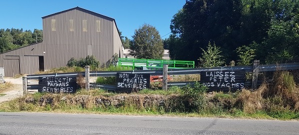 Vaches et écologie