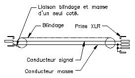 image248.jpg